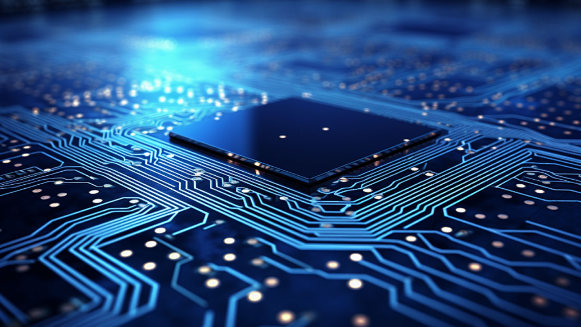 以务实敢为之姿